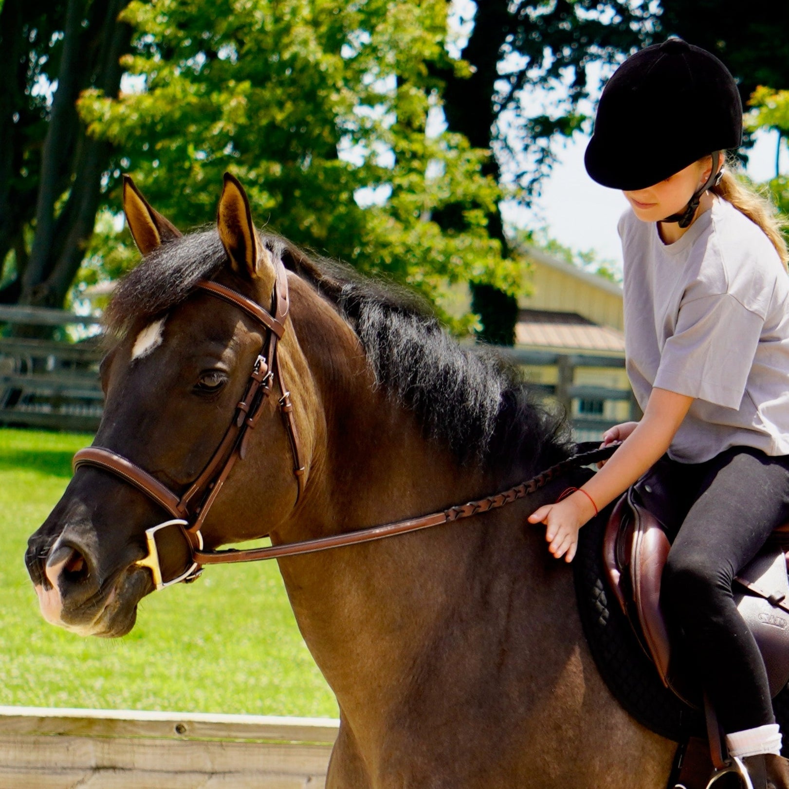 IRH Medalist Traditional Hunt Cap Style Helmet