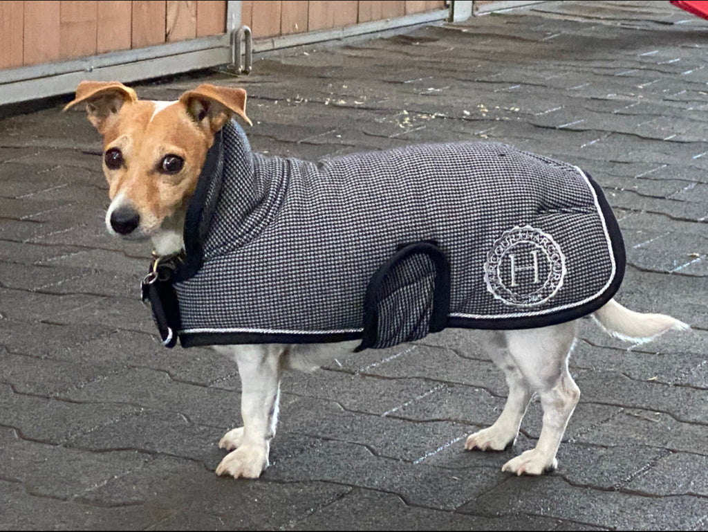 Code Dog Blanket Coat
