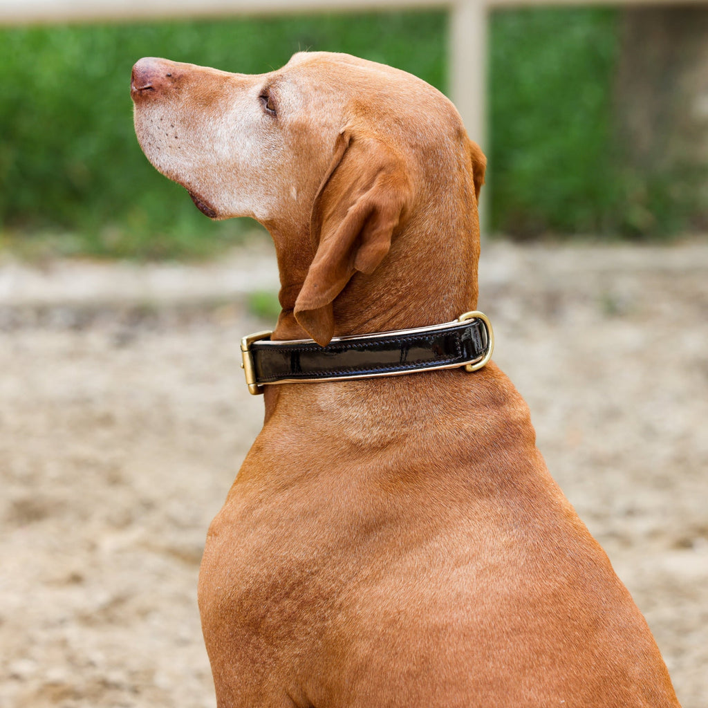 Brown Patent Florence Dog Leash