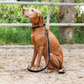 Brown Patent Florence Dog Leash