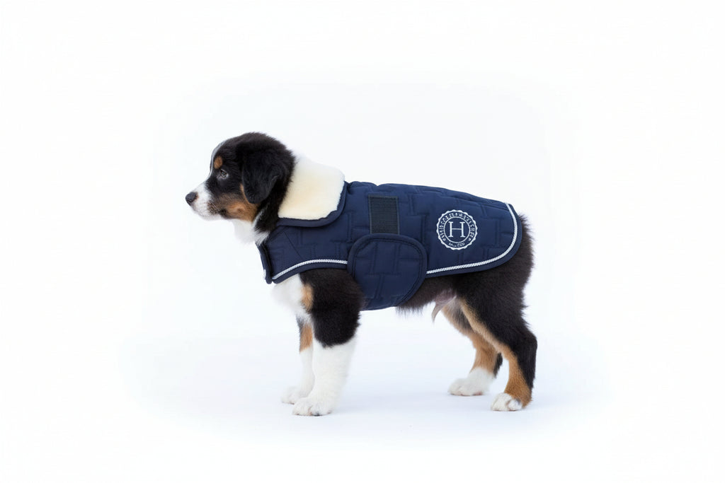 Bernie Dog Coat