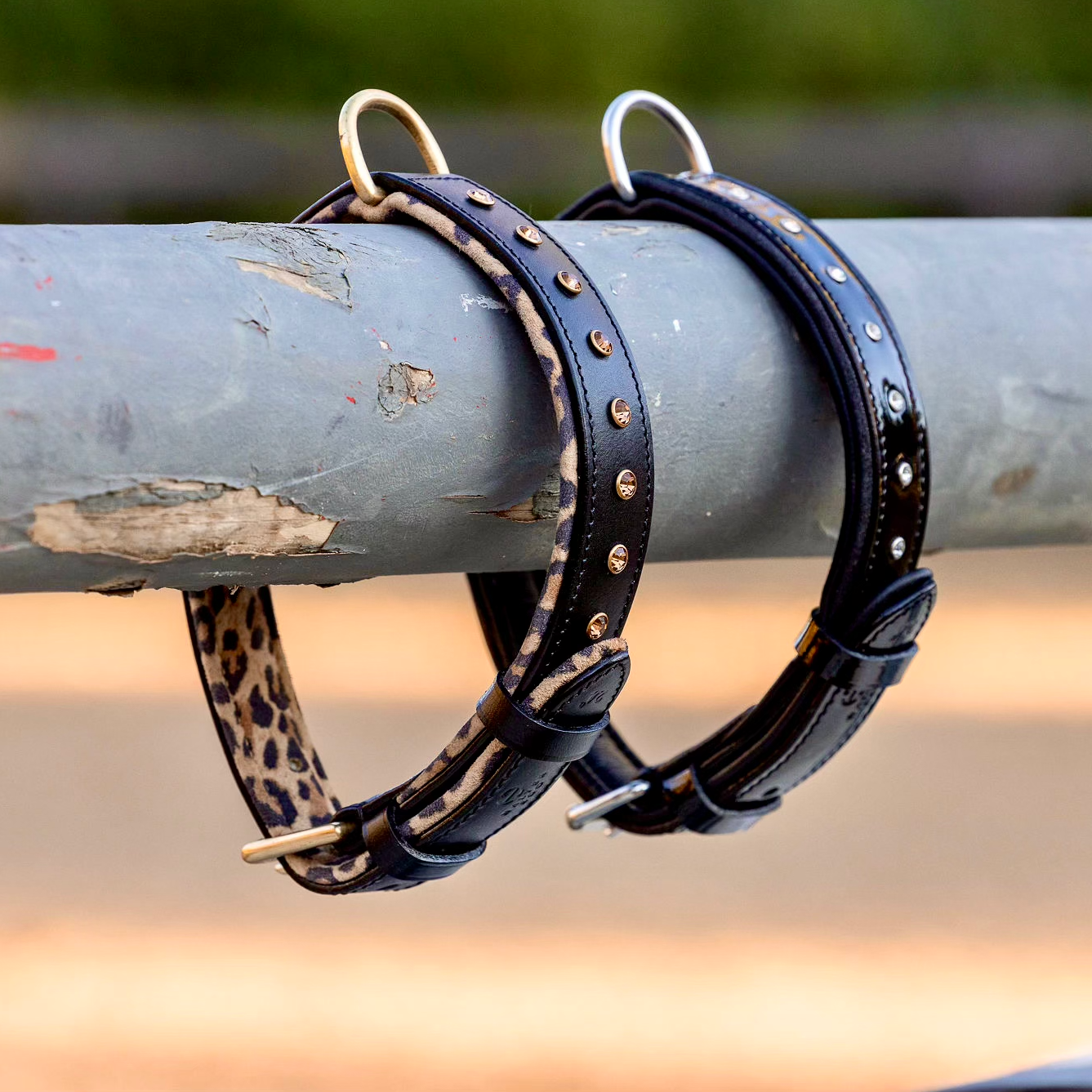 Black Leather Safari Dog Collar