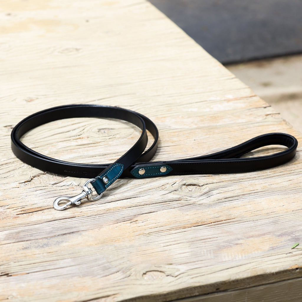 Metallic Teal Croc Leather Dog Collar