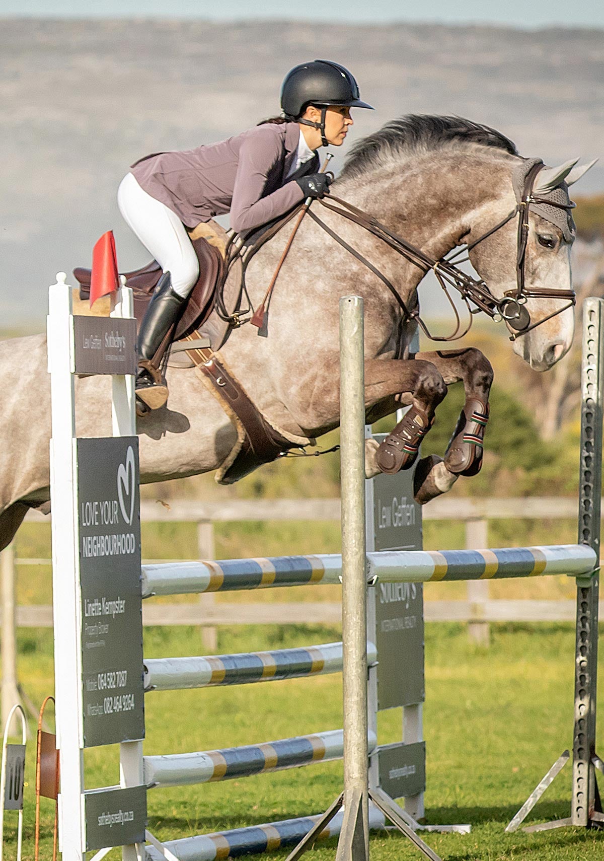 Equestrian jumping over a障碍物