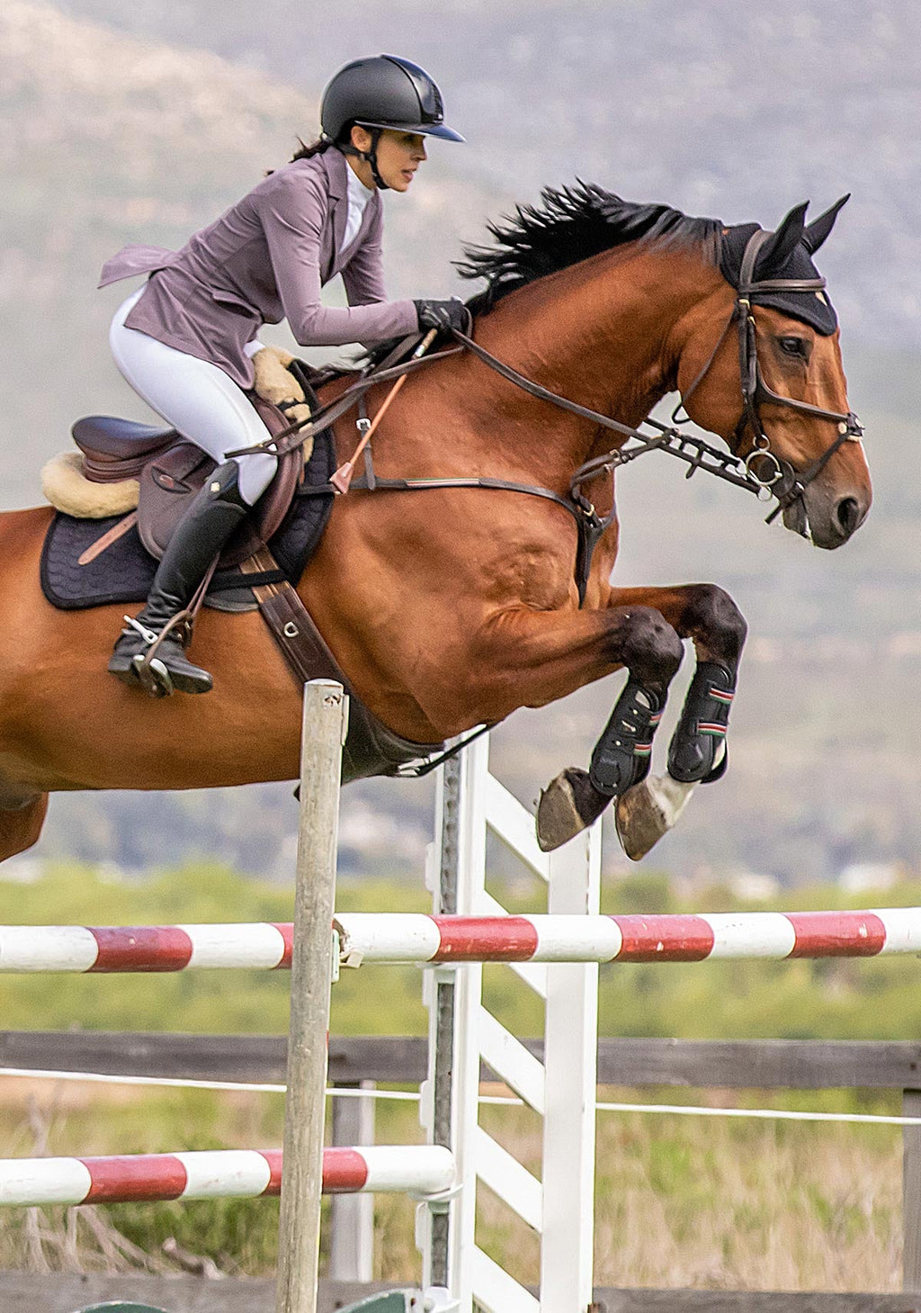 Horse and rider jumping over a fence in an outdoor equestrian setting