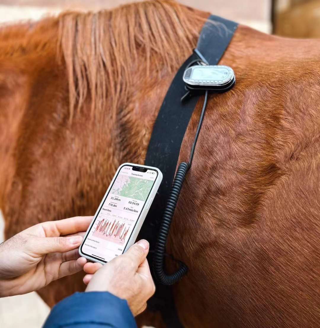 Compression Therapy Boots HorseLink