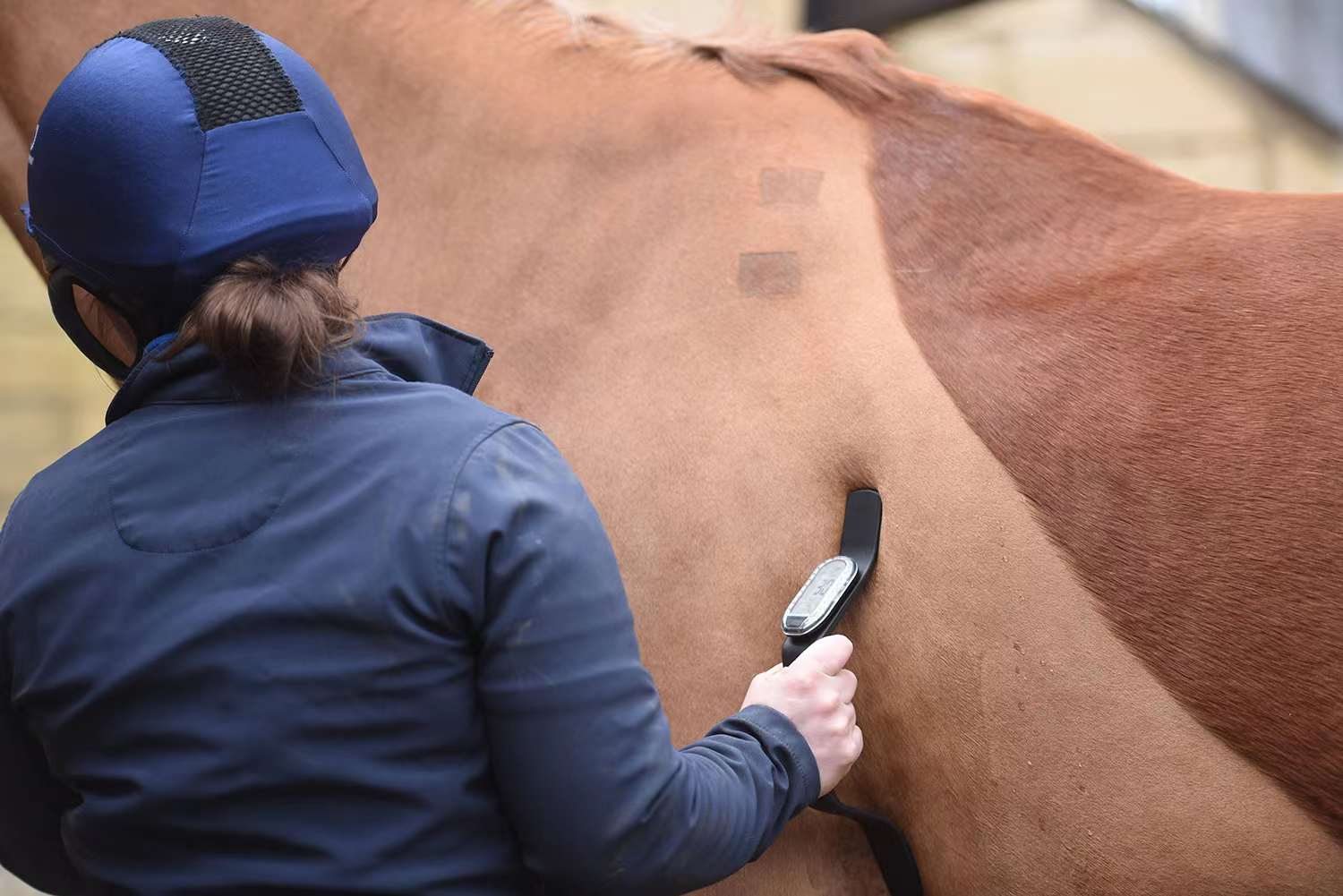 Compression Therapy Boots HorseLink